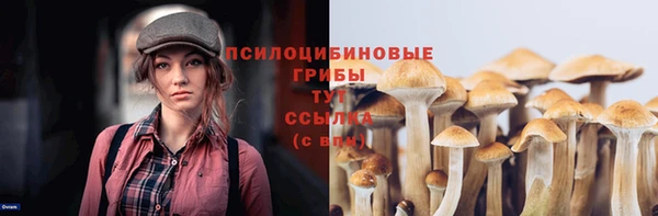 COCAINE Алзамай