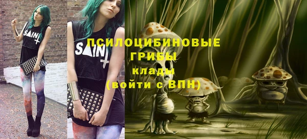 spice Алексин