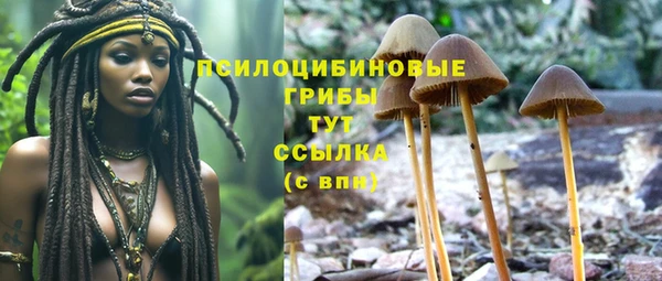spice Алексин