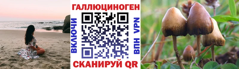 наркота  Морозовск  Псилоцибиновые грибы ЛСД 