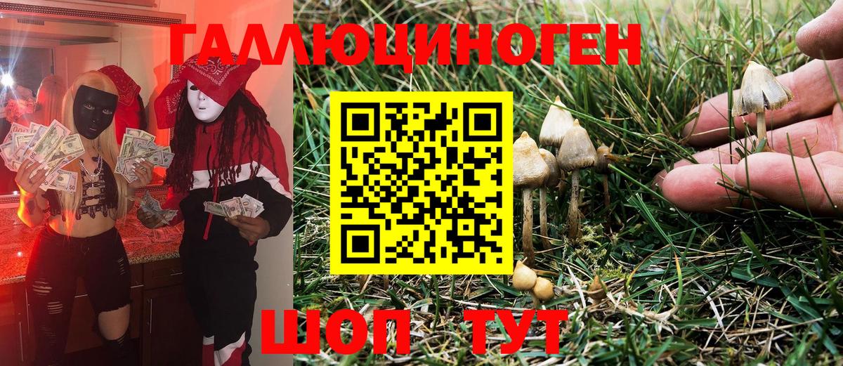 Псилоцибиновые грибы Magic Shrooms Морозовск